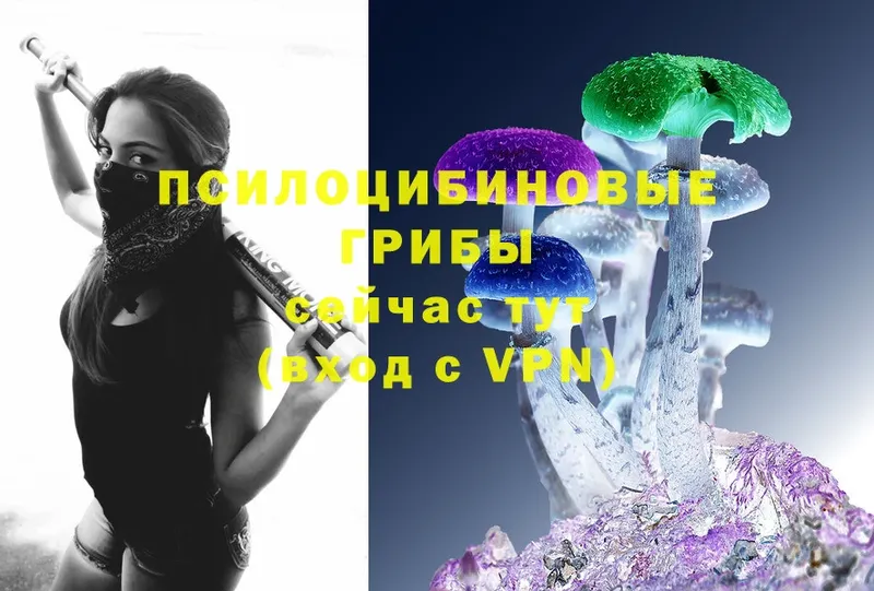 Галлюциногенные грибы Magic Shrooms  mega маркетплейс  Бобров 